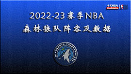 2022-23赛季NBA森林狼队阵容及数据