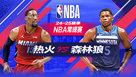 2024年11月11日 NBA常规赛 热火vs森林狼 全场录像回放