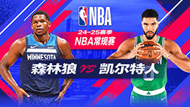 2024年11月25日 NBA常规赛 森林狼vs凯尔特人 全场录像回放