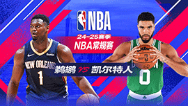 2025年01月13日 NBA常规赛 鹈鹕vs凯尔特人 全场录像回放