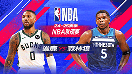 2025年02月13日 NBA常规赛 雄鹿vs森林狼 全场录像回放