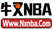 牛叉NBA录像网
